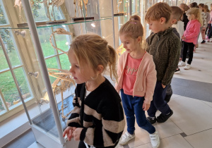 dzieci oglądają szkielety zwierząt