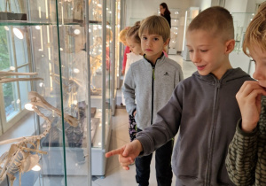 dzieci oglądają szkielety zwierząt