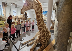 dzieci ogladają postać żyrafy