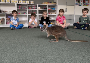 wizyta kangura- warsztaty przyrodnicze