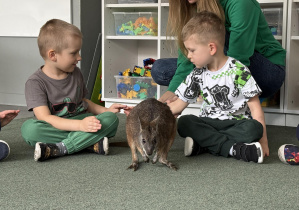 wizyta kangura- warsztaty przyrodnicze