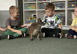 wizyta kangura- warsztaty przyrodnicze