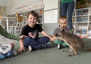 wizyta kangura- warsztaty przyrodnicze