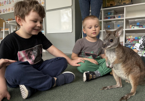 wizyta kangura- warsztaty przyrodnicze