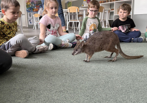 wizyta kangura- warsztaty przyrodnicze