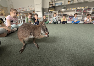 wizyta kangura- warsztaty przyrodnicze