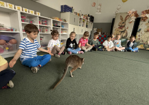 wizyta kangura- warsztaty przyrodnicze