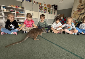wizyta kangura- warsztaty przyrodnicze