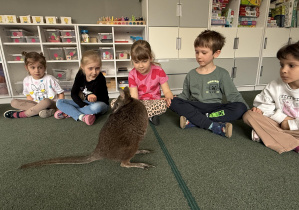 wizyta kangura- warsztaty przyrodnicze