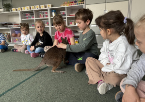 wizyta kangura- warsztaty przyrodnicze