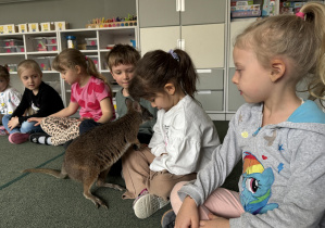 wizyta kangura- warsztaty przyrodnicze