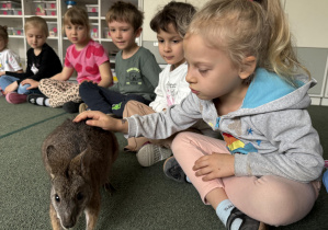 wizyta kangura- warsztaty przyrodnicze
