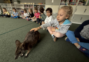 wizyta kangura- warsztaty przyrodnicze