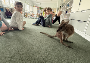 wizyta kangura- warsztaty przyrodnicze