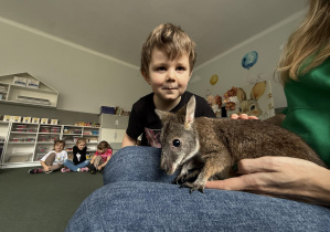 wizyta kangura- warsztaty przyrodnicze