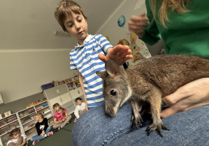 wizyta kangura- warsztaty przyrodnicze