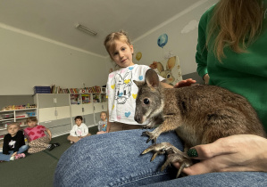 wizyta kangura- warsztaty przyrodnicze