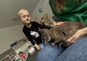 wizyta kangura- warsztaty przyrodnicze