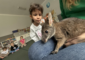 wizyta kangura- warsztaty przyrodnicze