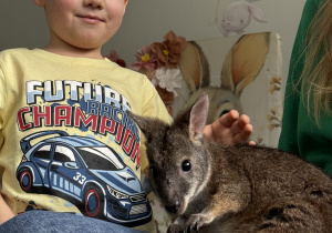 wizyta kangura- warsztaty przyrodnicze