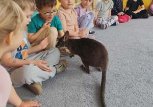 Dzieci obserwujące mini kangura na dywanie
