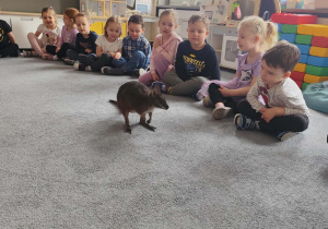 Dzieci na dywanie obserwujące mini kangura