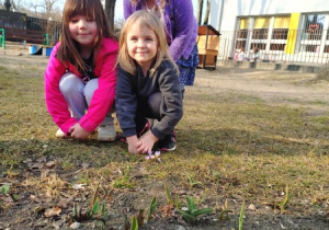 Dzieci i oznaki wiosny w przedszkolnym ogrodzie
