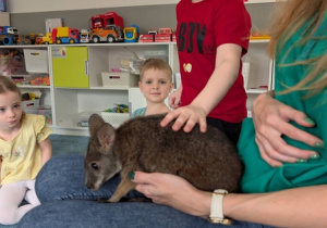 Wizyta kangura- warsztaty przyrodnicze
