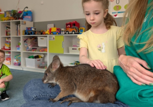 Wizyta kangura- warsztaty przyrodnicze