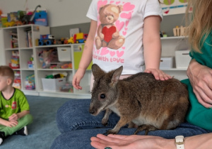 Wizyta kangura- warsztaty przyrodnicze