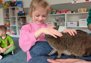 Wizyta kangura- warsztaty przyrodnicze