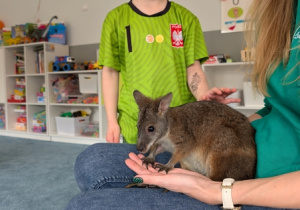 Wizyta kangura- warsztaty przyrodnicze