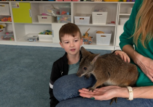 Wizyta kangura- warsztaty przyrodnicze