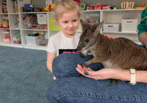 Wizyta kangura- warsztaty przyrodnicze