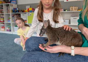 Wizyta kangura- warsztaty przyrodnicze