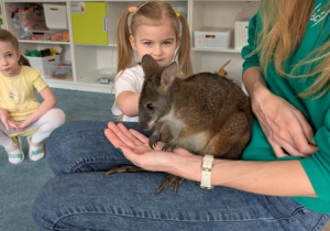 Wizyta kangura- warsztaty przyrodnicze