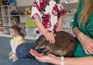 Wizyta kangura- warsztaty przyrodnicze