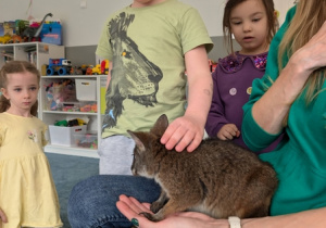 Wizyta kangura- warsztaty przyrodnicze