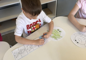 zajęcia dydaktyczne- cykl rozwoju żaby
