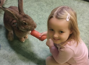 Spotkanie z królikami