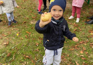 Chłopiec pozuje do zdjęcia z ziemniakiem