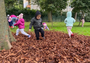 Dzieci w ogrodzie przedszkolnym pod kasztanowcem poszukują kasztanów