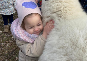 Dziewczynka przytula się do alpaki