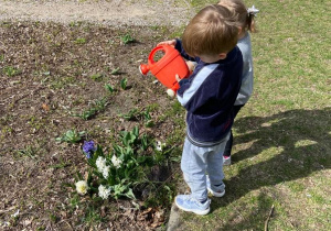 Chłopiec z dziewczynką podlewają kwiatki w ogrodzie przy pomocy konewki