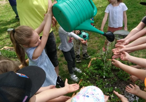 Ogród przedszkolny. Dzieci wraz z nauczycielką podlewają rośliny na grządce.