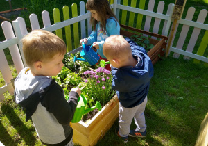 dziewczynka i chłopcy podlewają rośliny w nowym ogrodzie