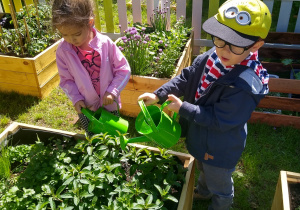dziewczynka i chłopiec podlewają rośliny na grządce