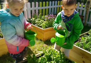 dziewczynka i chłopiec podlewają rośliny kolorowymi konewkami