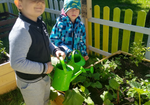 dwóch chłopców podlewa rośliny w przedszkolnym ogrodzie