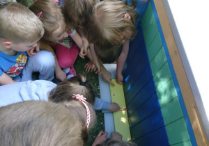 Ogród przedszkolny.. Dzieci blisko ula, dotykają i oglądają jego elementy.